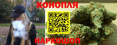 прущие крисы Донской