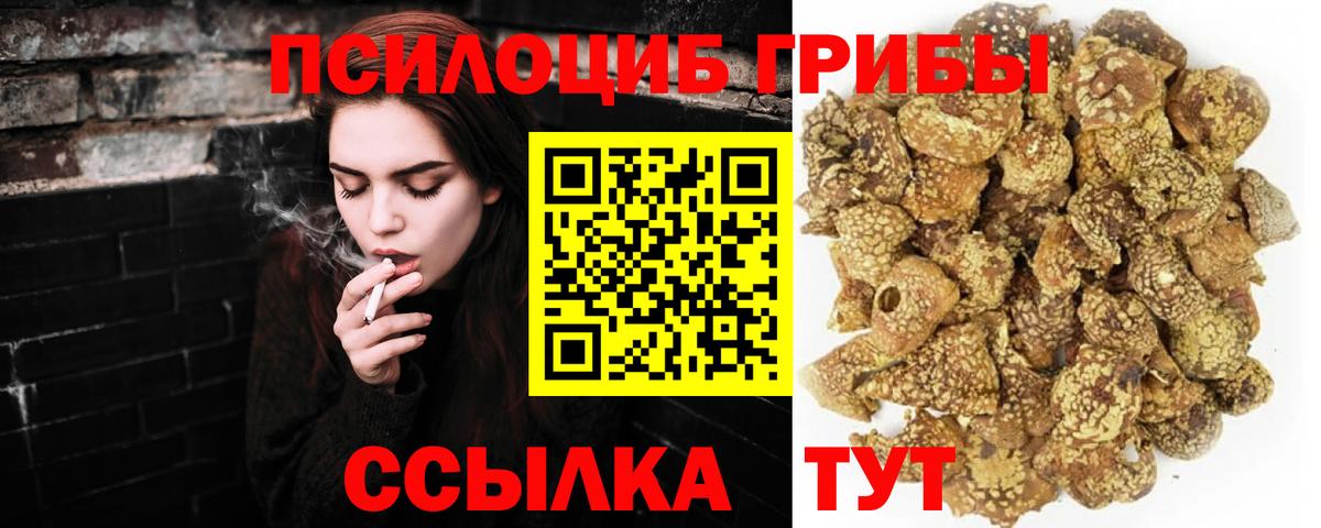 Псилоцибиновые грибы Magic Shrooms  Вход с VPN  Кузнецк  Псилоцибиновые грибы MAGIC MUSHROOMS 