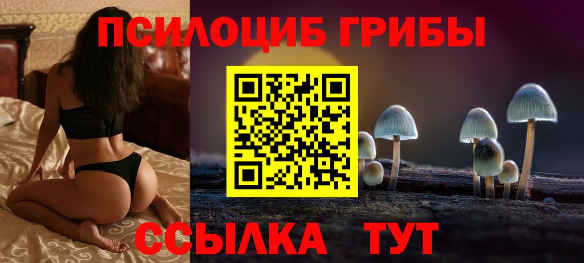 Псилоцибиновые грибы Cubensis Кузнецк