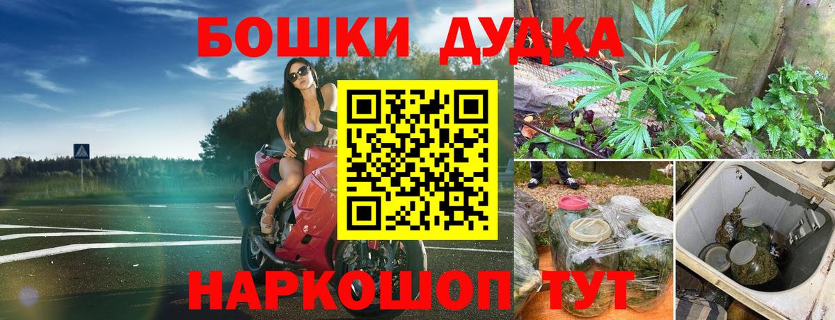 Канабис SATIVA & INDICA Кузнецк